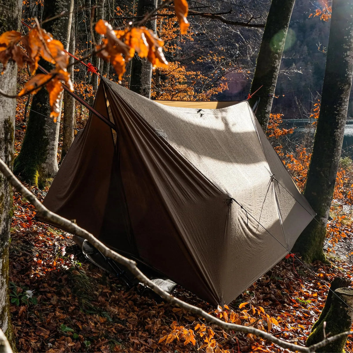 Tarps